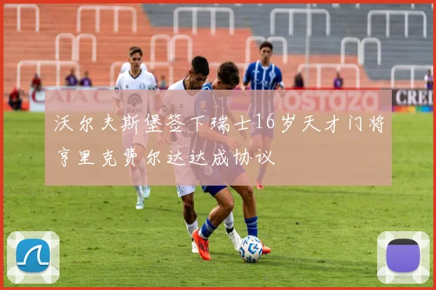 沃尔夫斯堡签下瑞士16岁天才门将亨里克费尔达达成协议